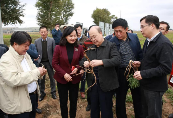 國家衛生健康委黨組成員、國家中醫藥局黨組書記余艷紅一行深入山西省五寨縣調研定點扶貧工作